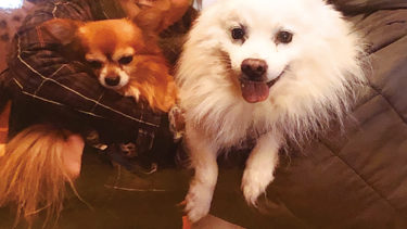 なかよし食堂 ぺぺちゃん家 たるぽん Pwoered By イーストバレイ